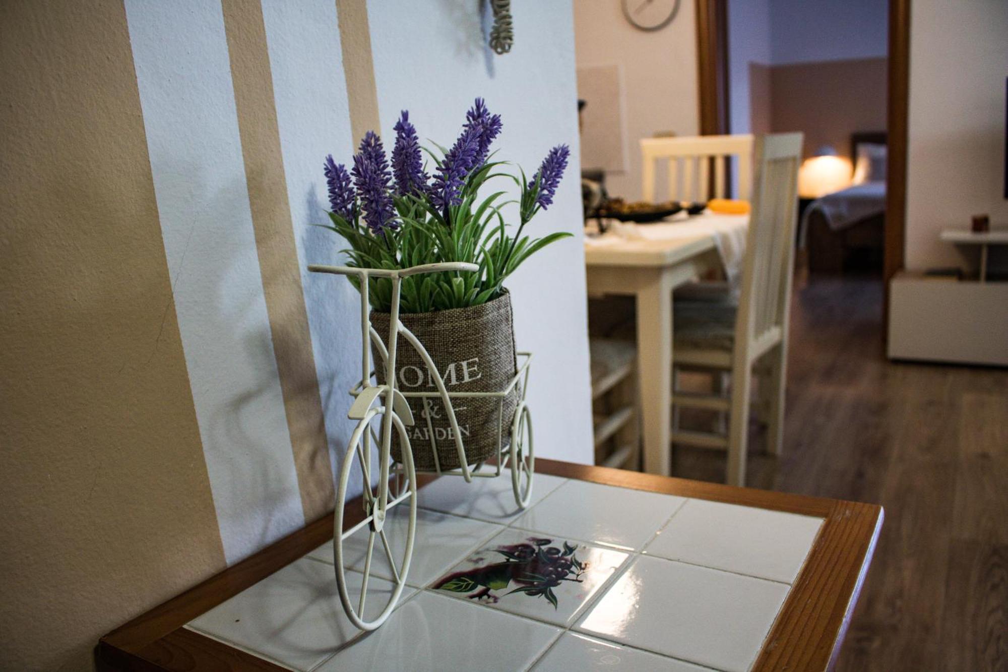 Angie'S Perfect Location Flat - Walk To Sights Tirana Bagian luar foto